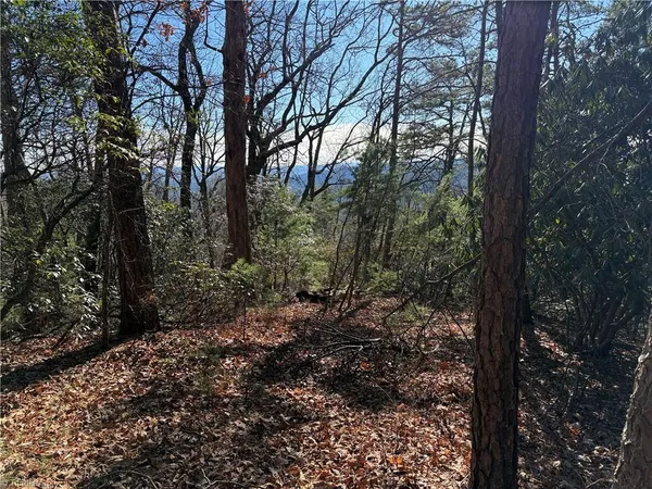 $59,900 | Lot 27 Bobcat Mountain Road, Purlear, NC 28665