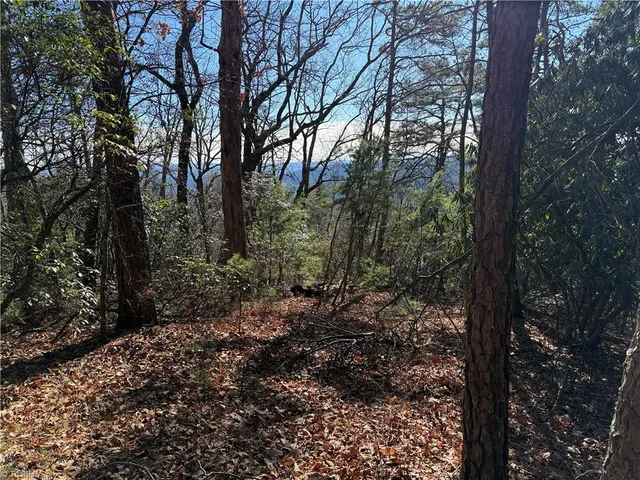 $59,900 | Lot 27 Bobcat Mountain Road, Purlear, NC 28665