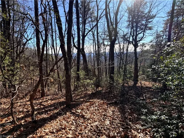 $59,900 | Lot 27 Bobcat Mountain Road, Purlear, NC 28665