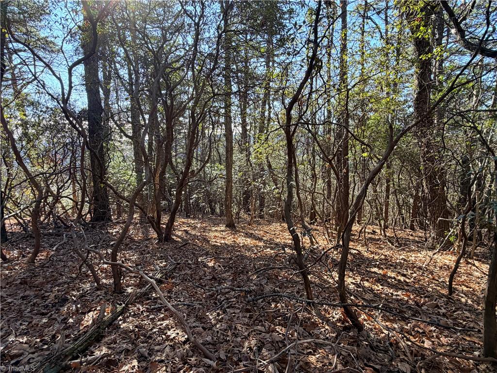 Lot 27 Bobcat Mountain Road Purlear, NC 28665 - Photo 10 of 38