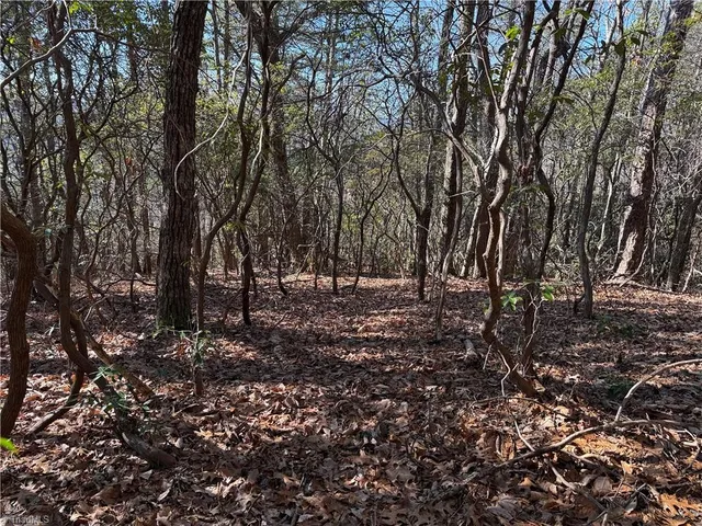 $59,900 | Lot 27 Bobcat Mountain Road, Purlear, NC 28665