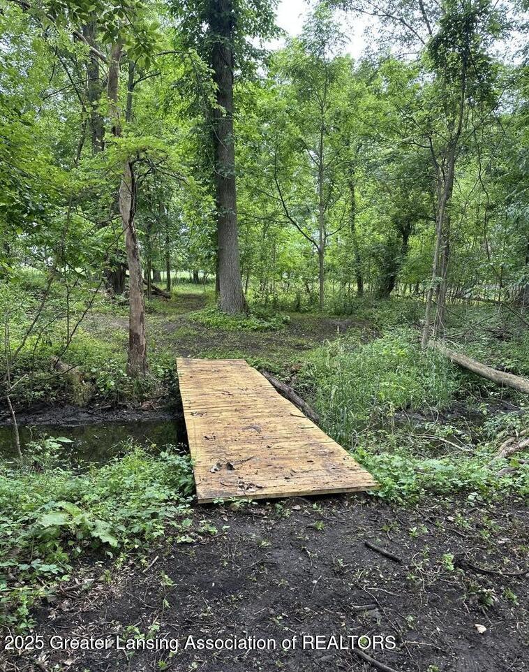 4633 Parman Road Stockbridge, MI 49285 - Photo 21 of 23 Wooden bridge