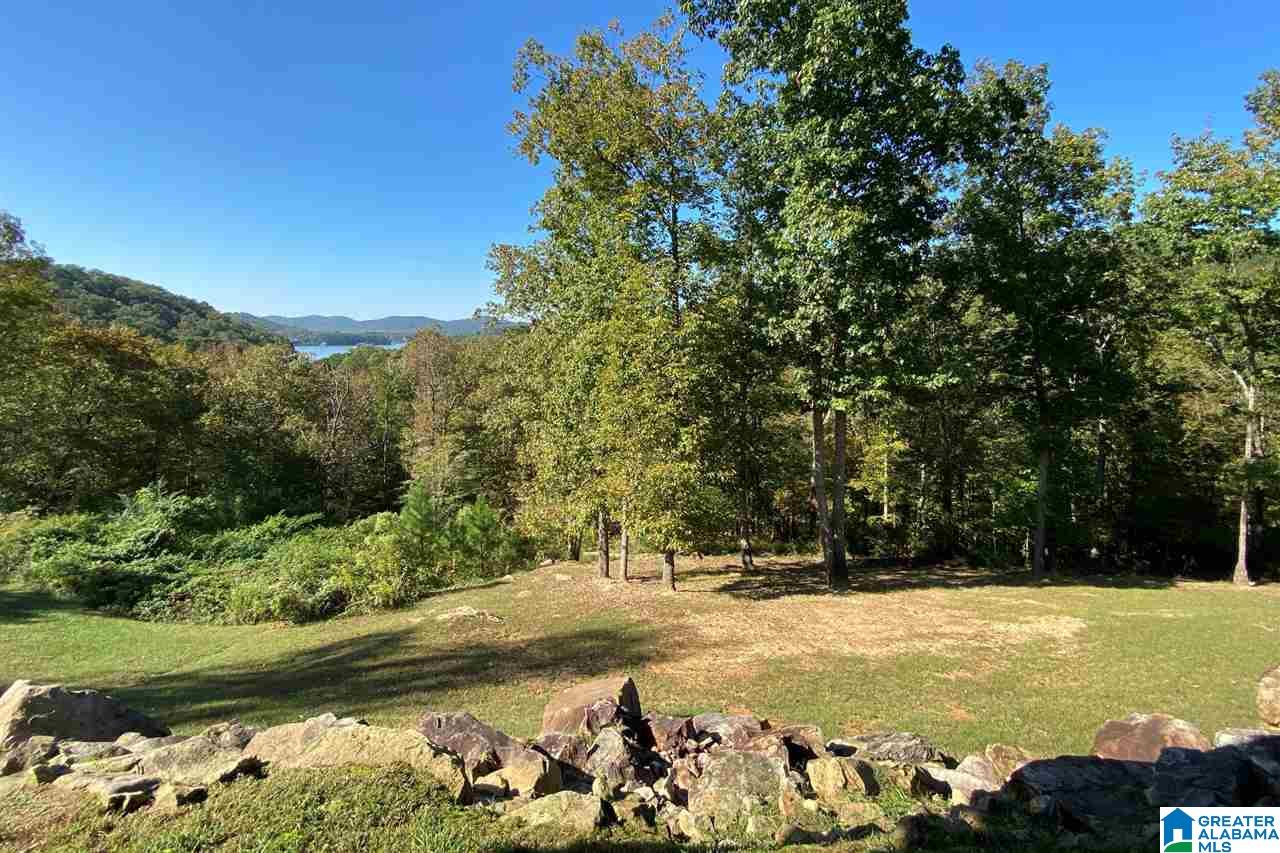 1298 Mohawk Cliff Road Ohatchee, AL 36271 - Photo 31 of 50