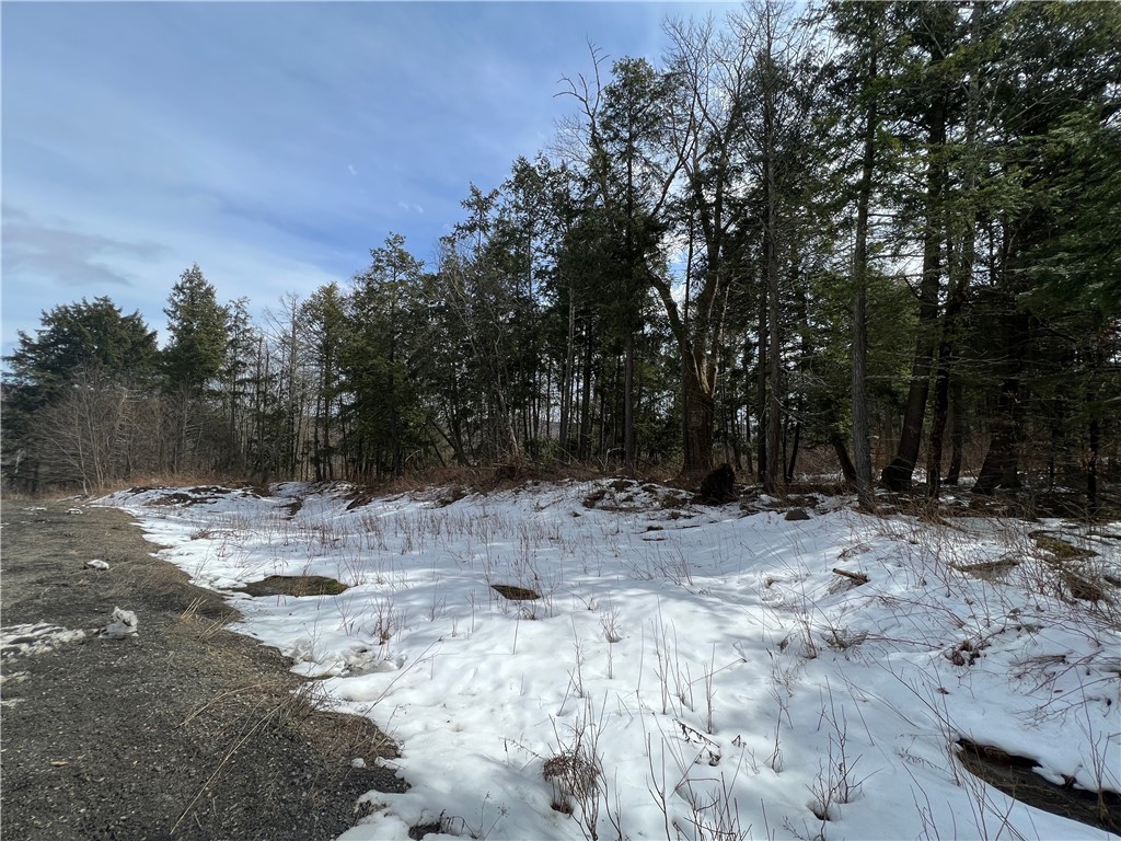 Lot 2 Burdick Hill Road Otego, NY 13825 - Photo 6 of 11 Gallery Image 6
