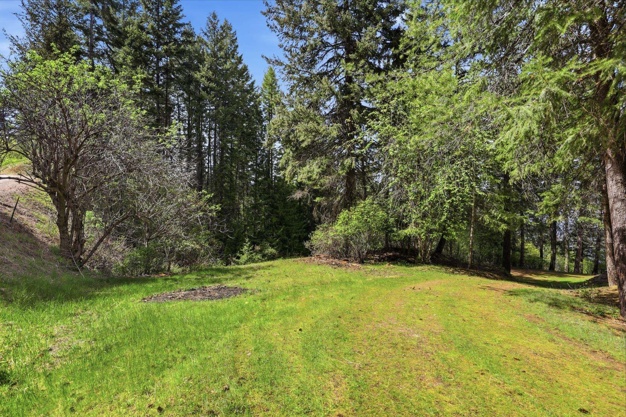 4134 Pebble Beach Road Loon Lake, WA 99148 - Photo 28 of 48 Gallery Image 28