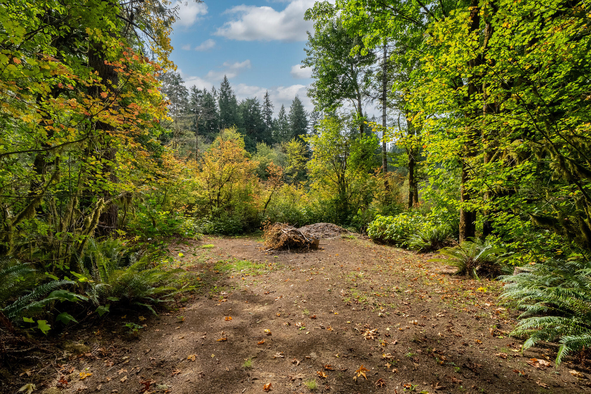 42520 Testament Creek Road Beaver, OR 97108 - Photo 57 of 62 74_dsc07966-hdr-edit