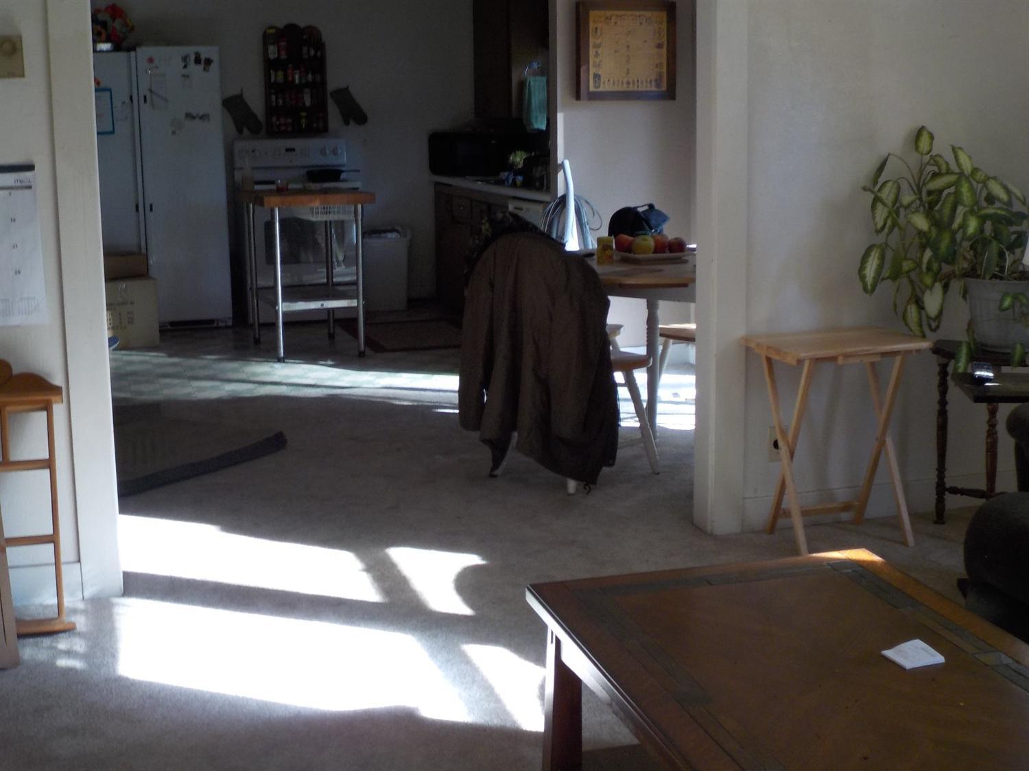 341 Red Blanket Road Prospect, OR 97536 - Photo 6 of 19 This view was taken from the living room