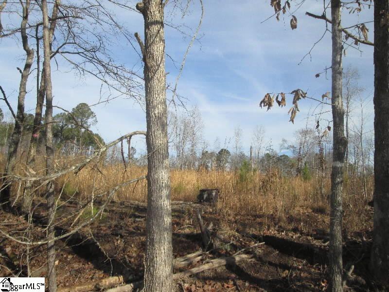 567-69 Rice Road Clinton, SC 29325 - Photo 2 of 5 Gallery Image 2