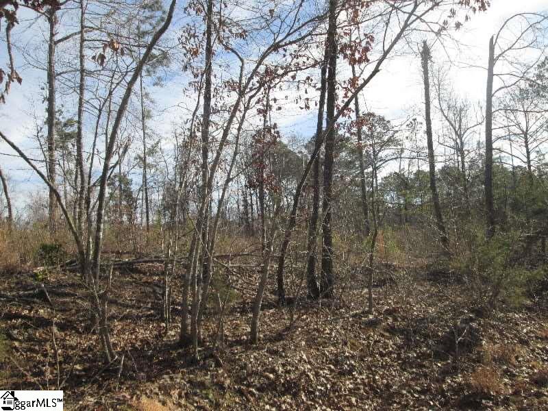 567-69 Rice Road Clinton, SC 29325 - Photo 5 of 5 Gallery Image 5