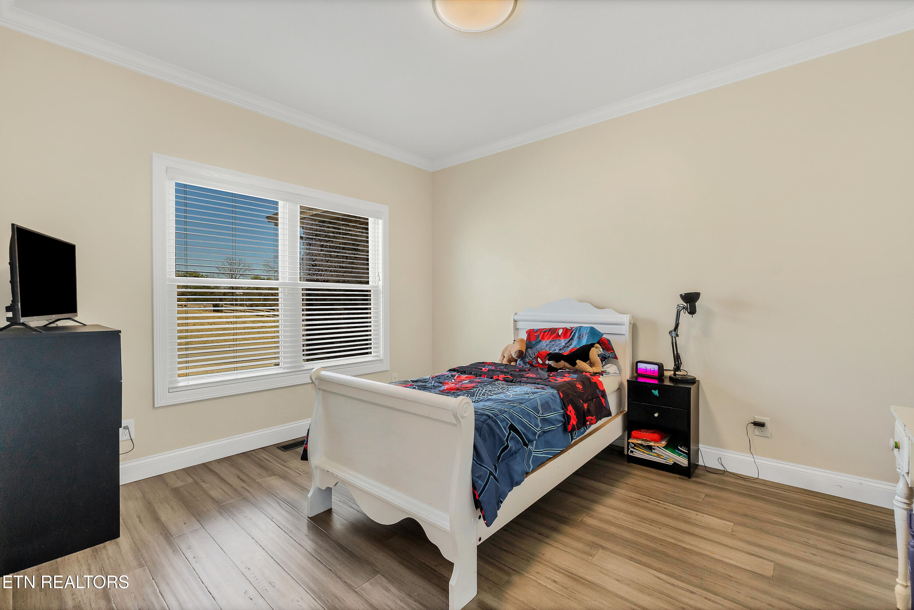 1322 Houston Springs Road Greenback, TN 37742 - Photo 18 of 38 DSC08163