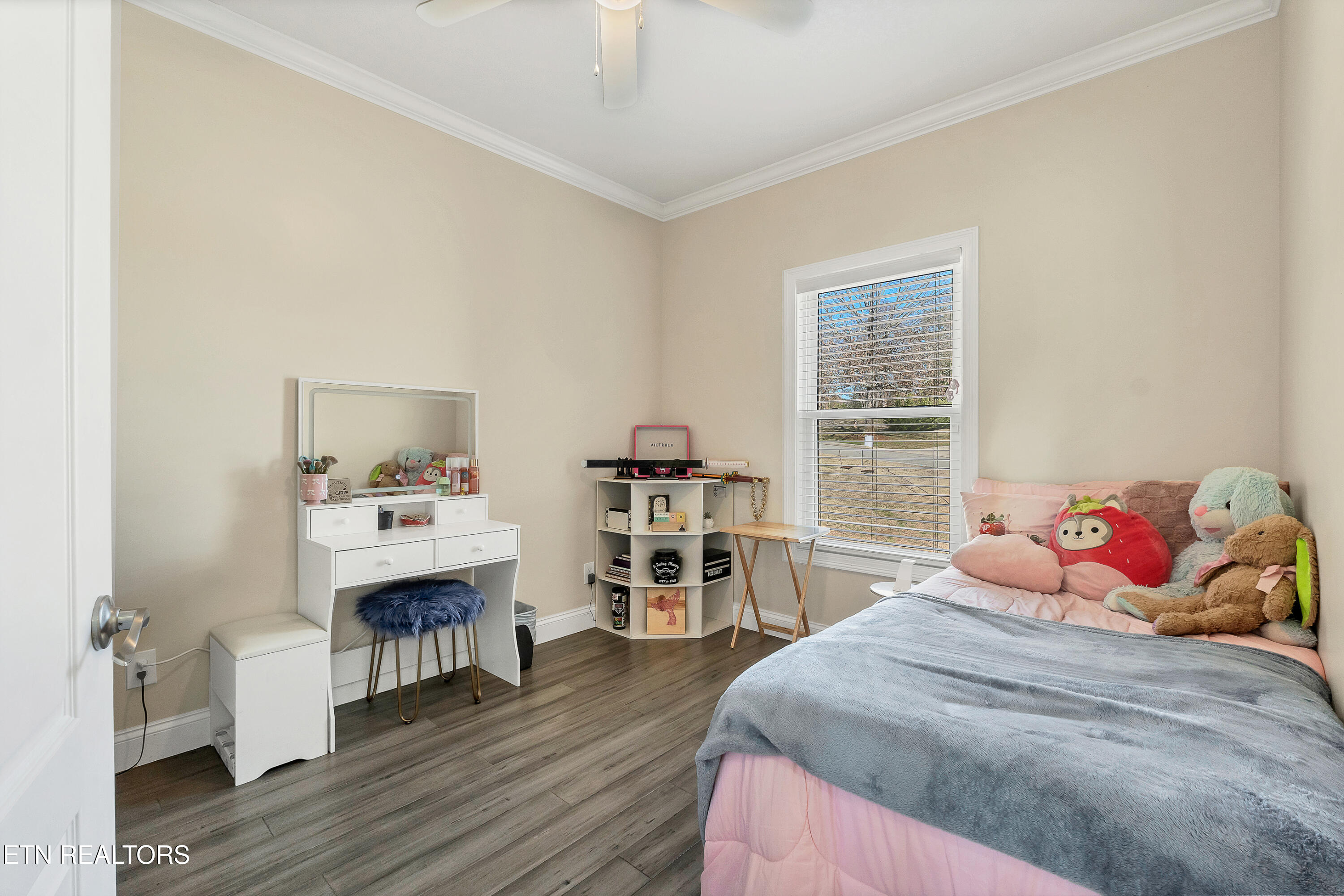 1322 Houston Springs Road Greenback, TN 37742 - Photo 20 of 38 DSC08178