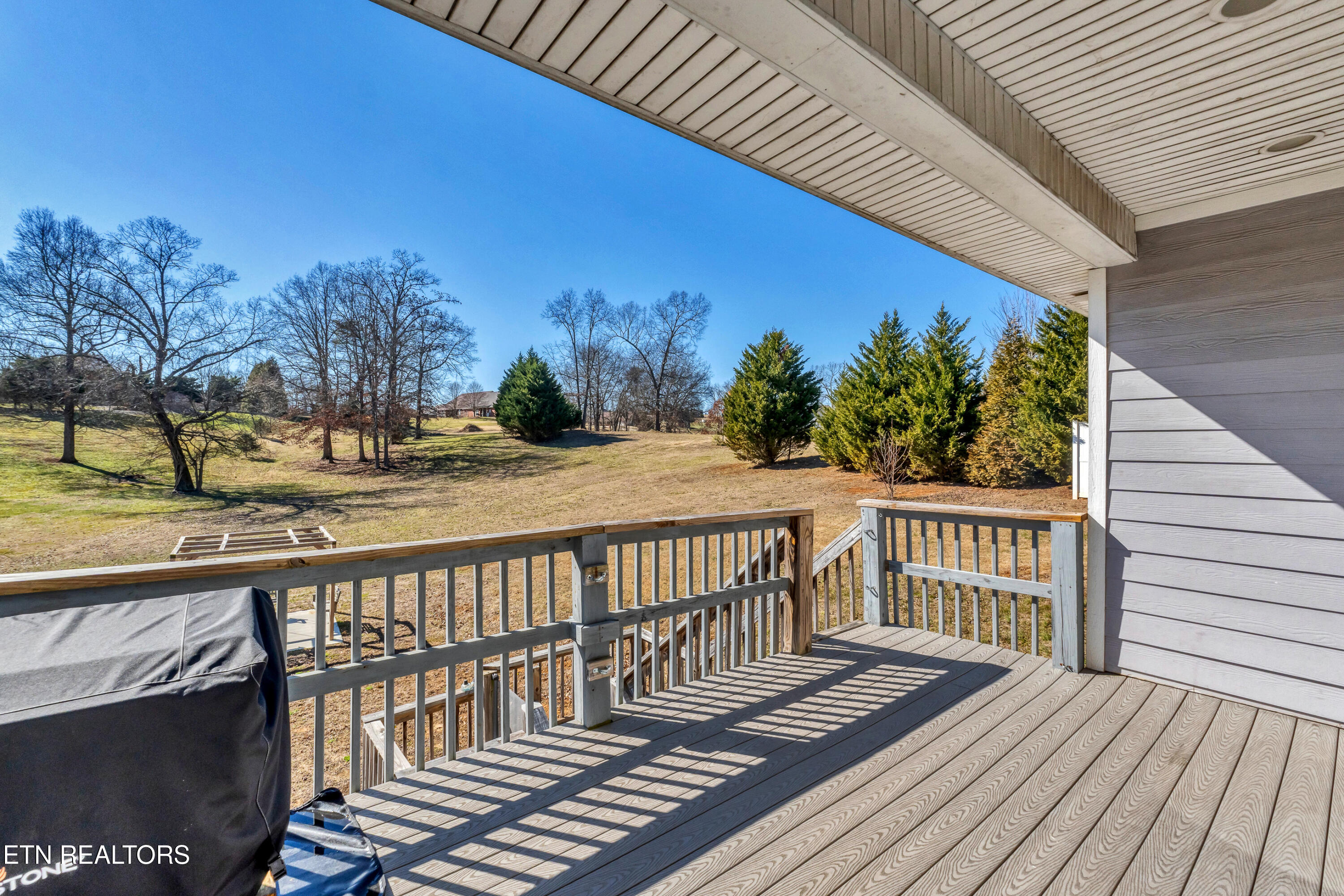 1322 Houston Springs Road Greenback, TN 37742 - Photo 27 of 38 DSC08260