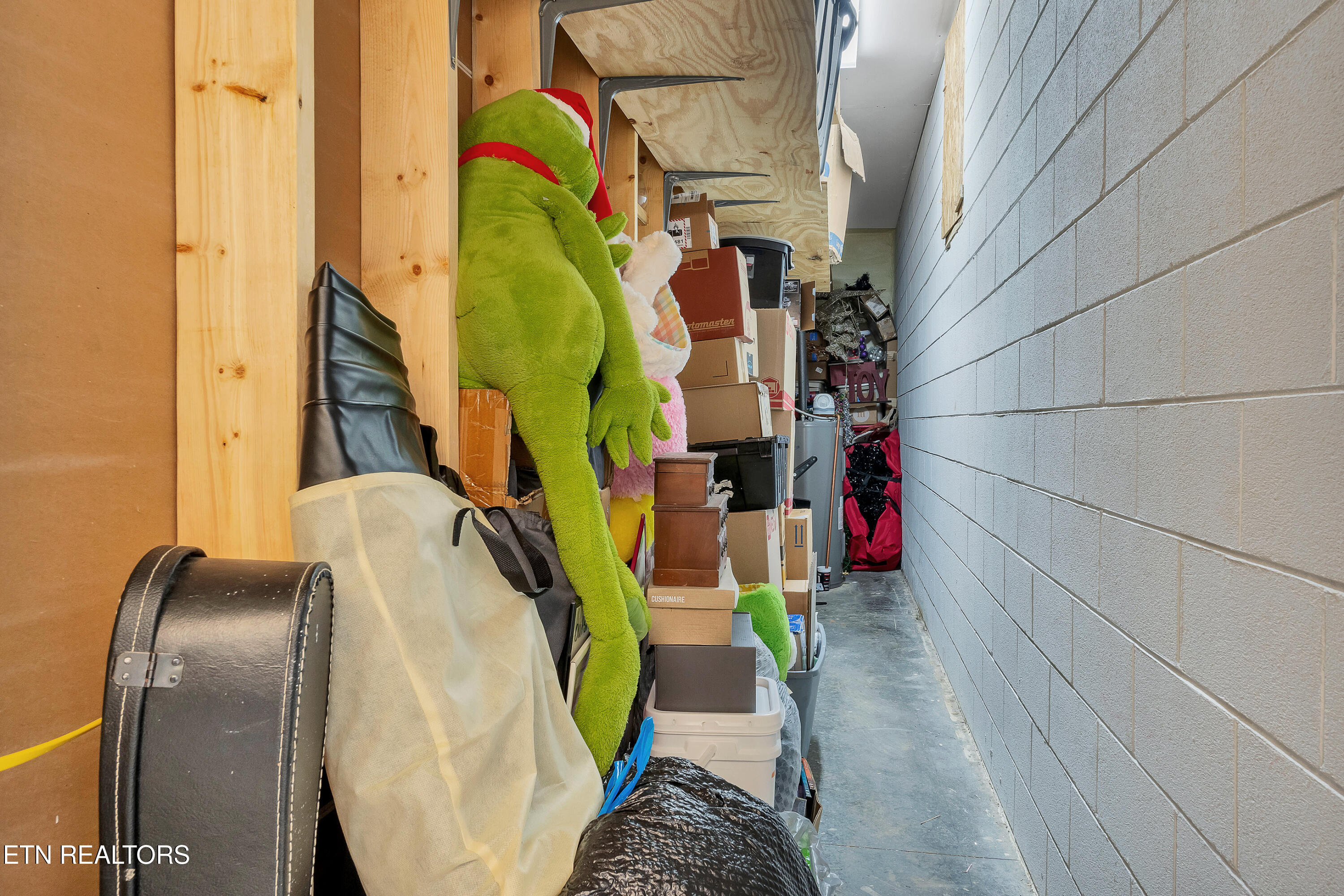 1322 Houston Springs Road Greenback, TN 37742 - Photo 38 of 38 DSC08333