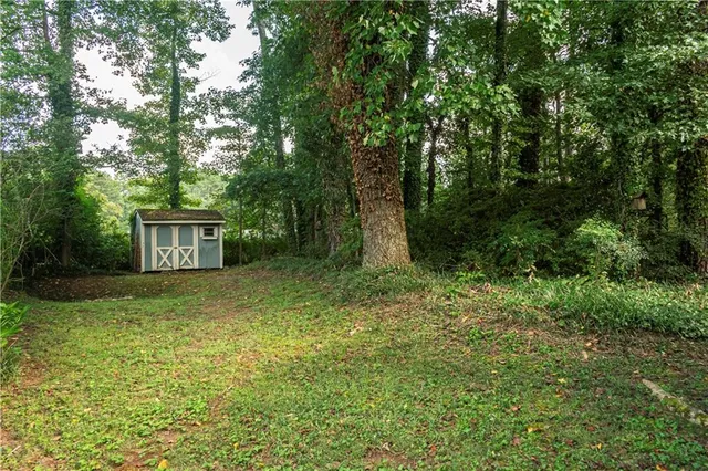 a view of a big yard with large trees
