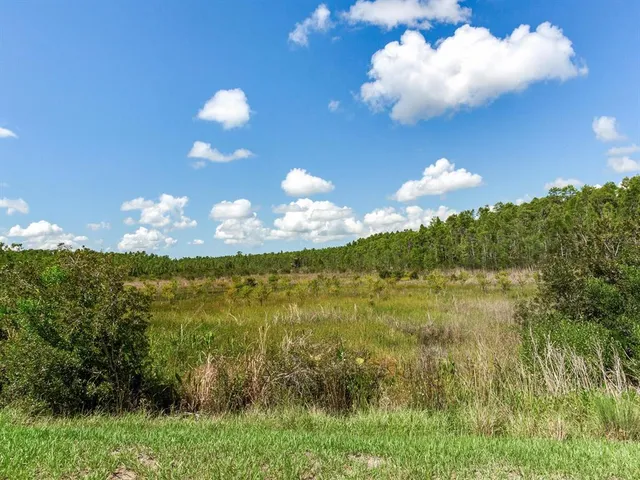 $1,099,000 | 6057 Marsh Trail Drive, Odessa, FL 33556