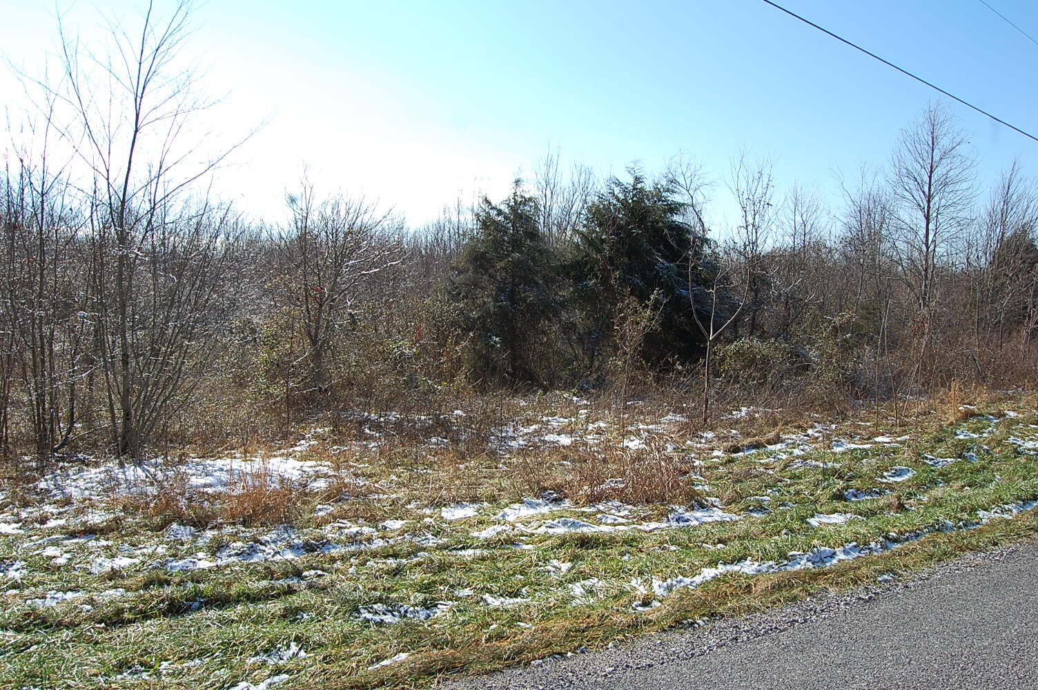 3 Meyers Road Altamont, TN 37301 - Photo 8 of 12 Gallery Image 8