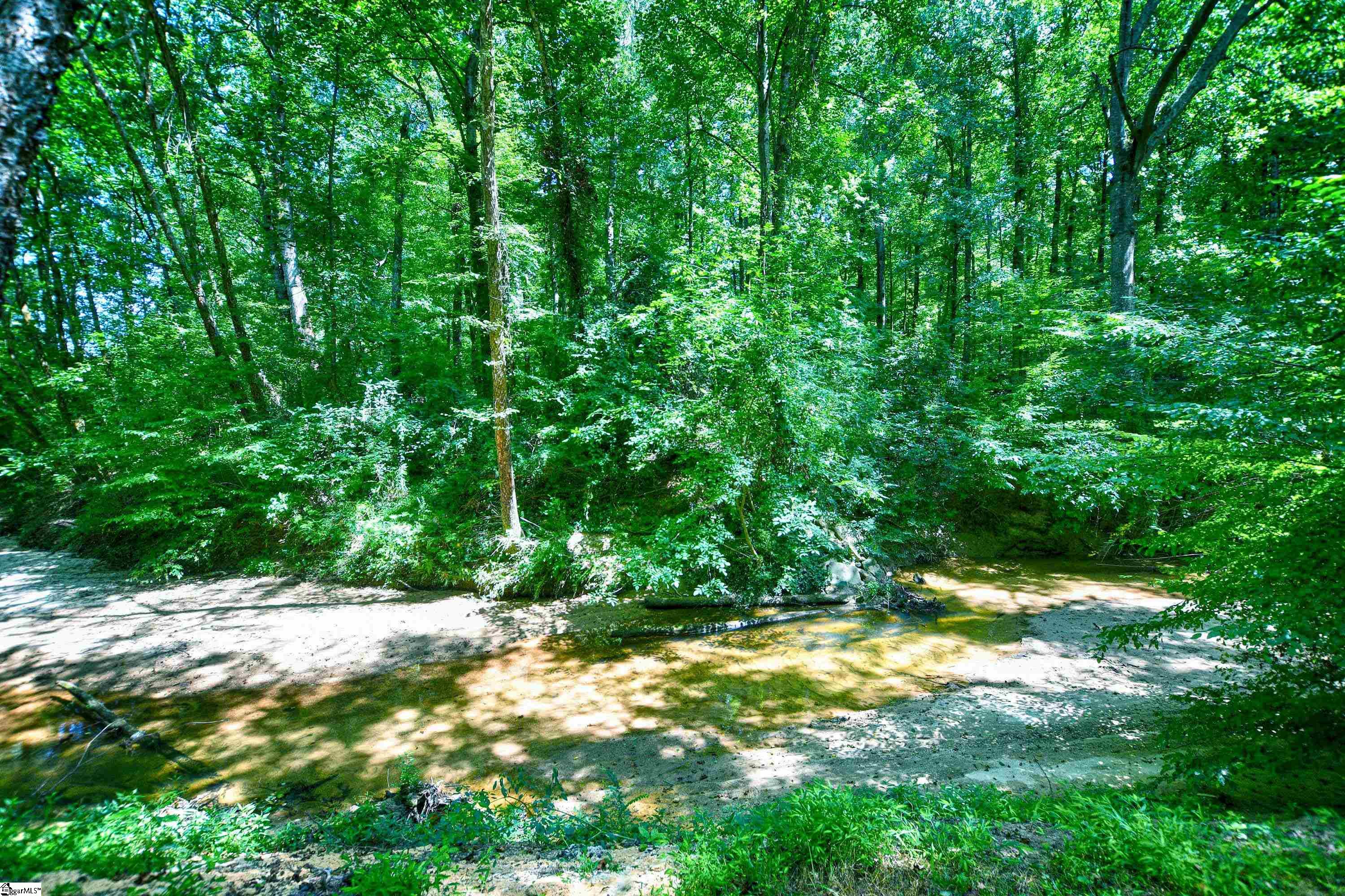 115 Ricelan Drive Simpsonville, SC 29681 - Photo 5 of 36 Gallery Image 5