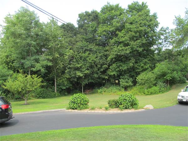 86 Locust Street, Unit 86 Bellingham, MA 02019 - Photo 5 of 21 Gallery Image 5