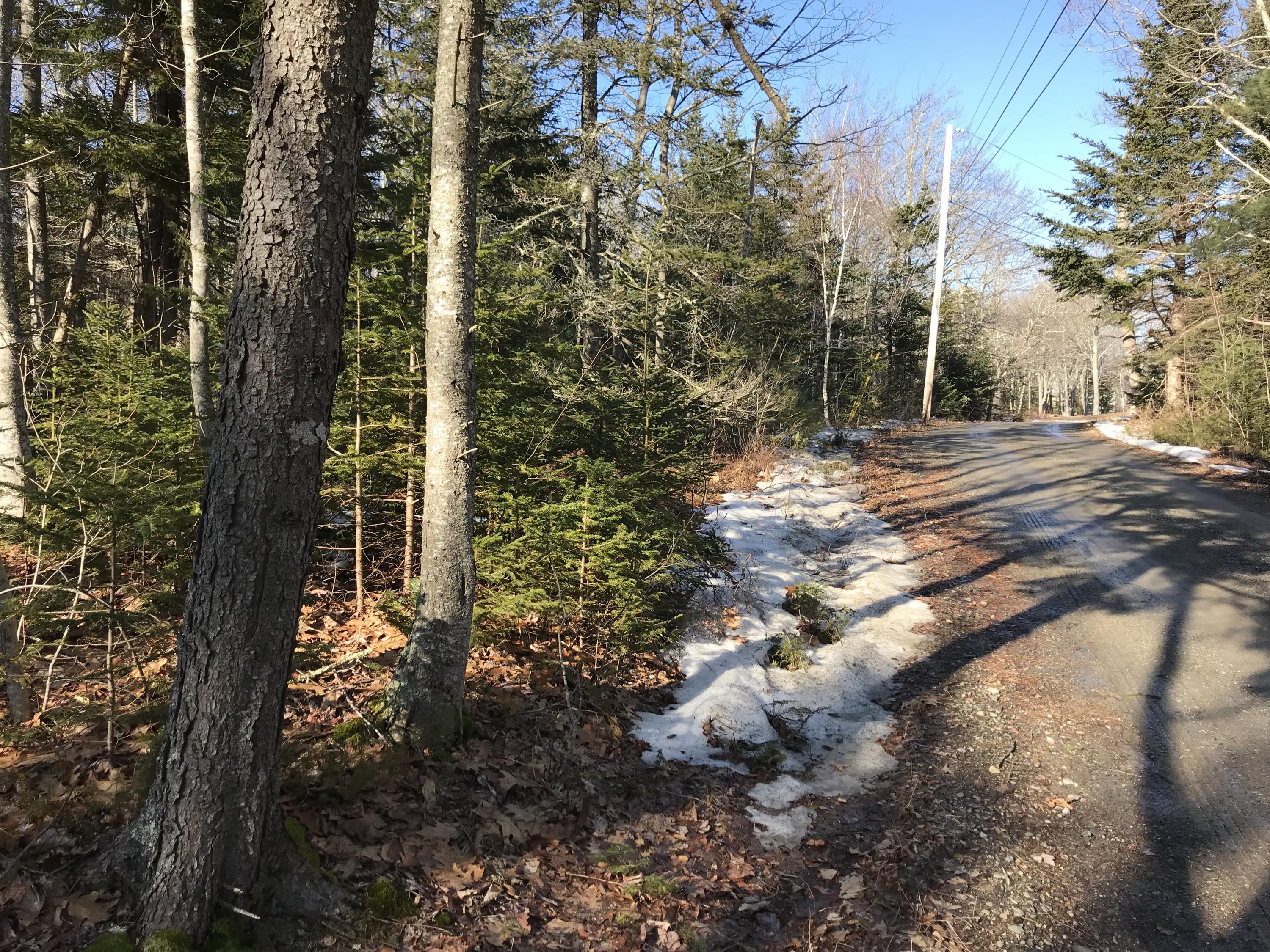 101 Old Mill Road Bristol, ME 04554 - Photo 7 of 7 IMG_3508