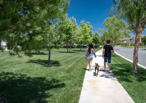 310 Blue River Trail Rosenberg, TX 77471 - Photo 46 of 47 a park with lots of green space and trees