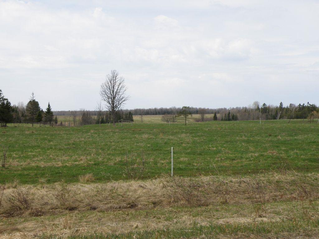 12248 South Bound Road Dafter, MI 49724 - Photo 14 of 61 Gallery Image 14