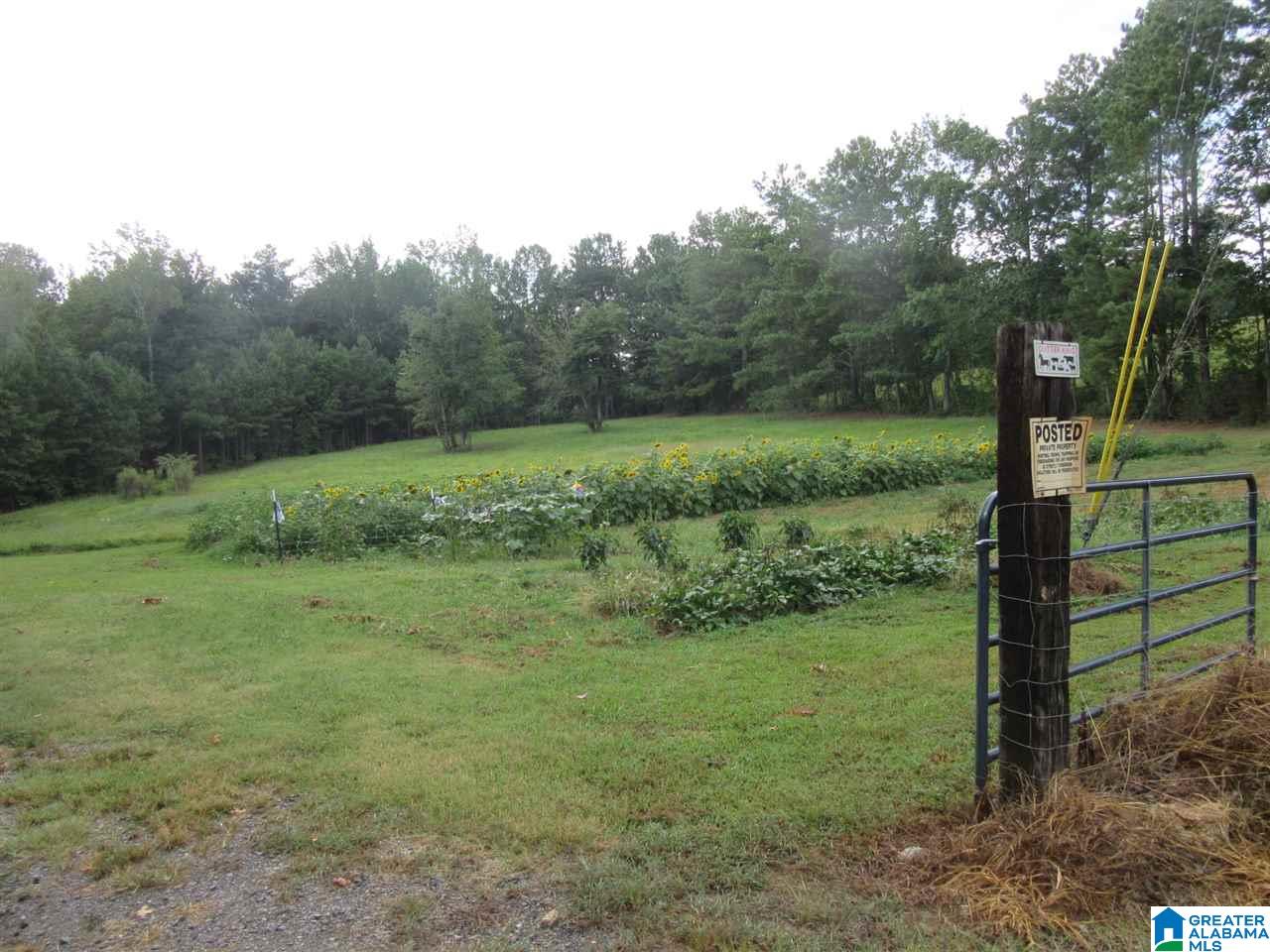 3260 Highway 27 Oneonta Al Oneonta, AL 35121 - Photo 34 of 37