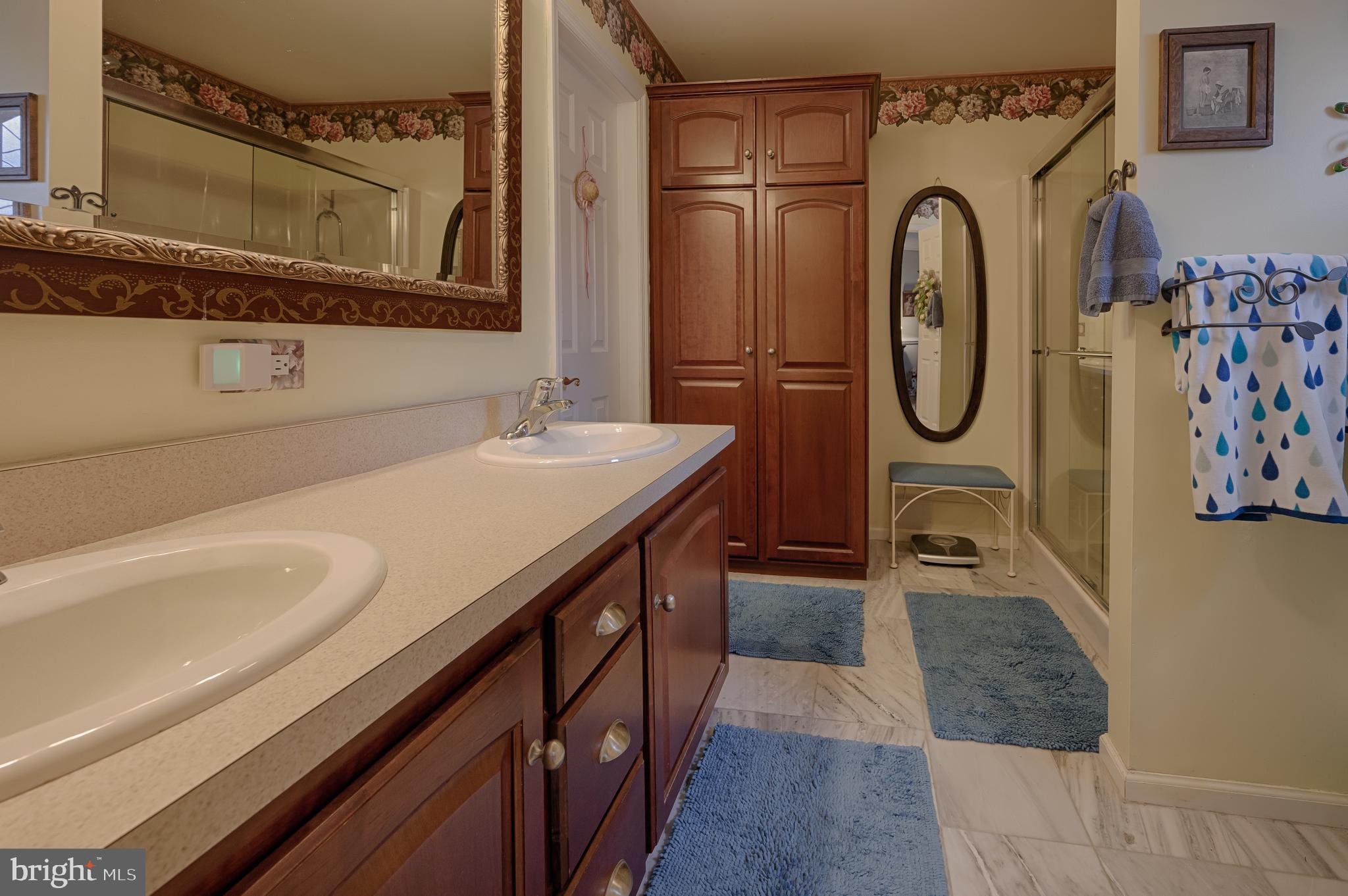26 Cinnamon Drive Conowingo, MD 21918 - Photo 26 of 41 Master Bathroom