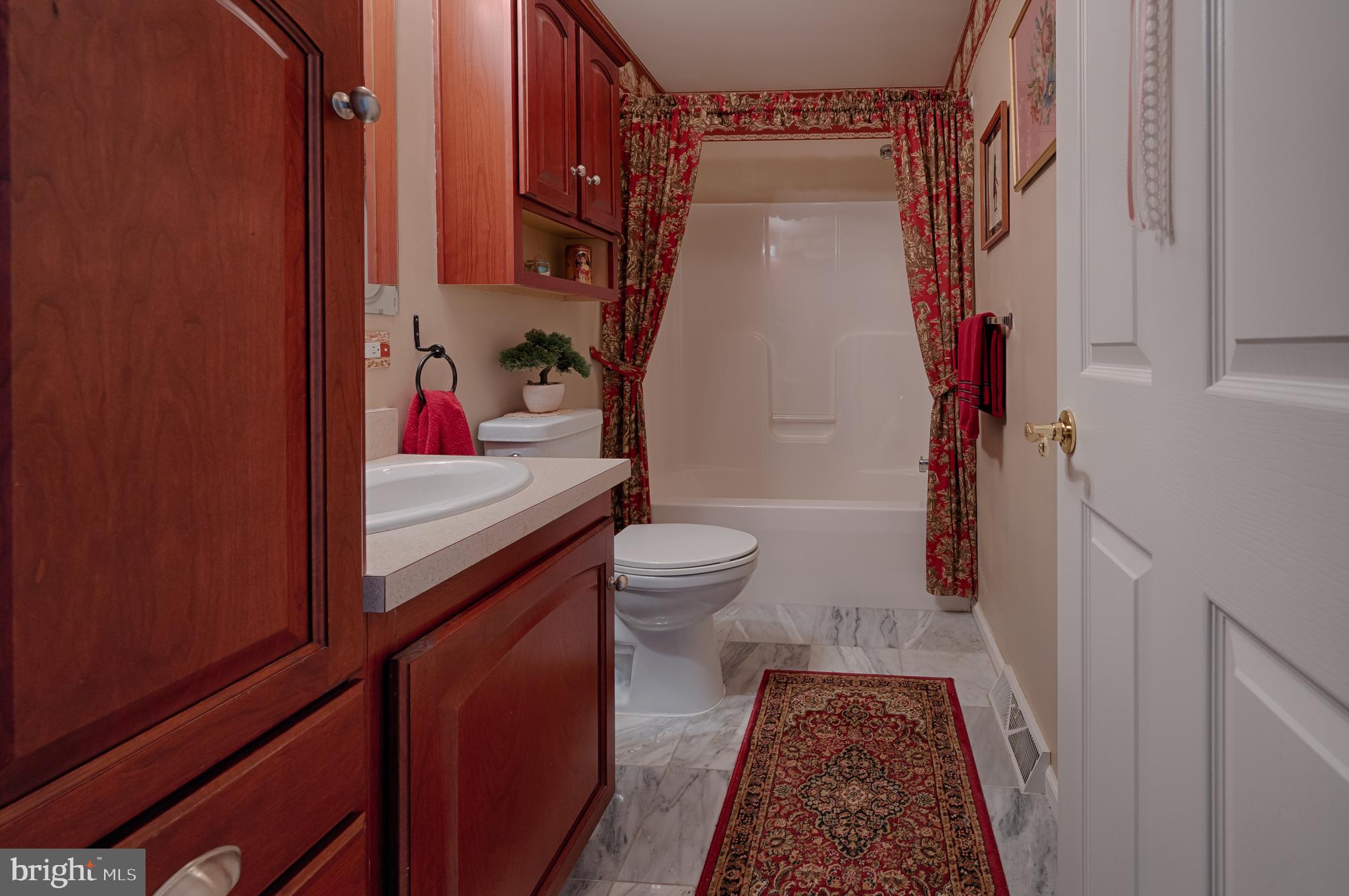 26 Cinnamon Drive Conowingo, MD 21918 - Photo 31 of 41 Hall Bathroom