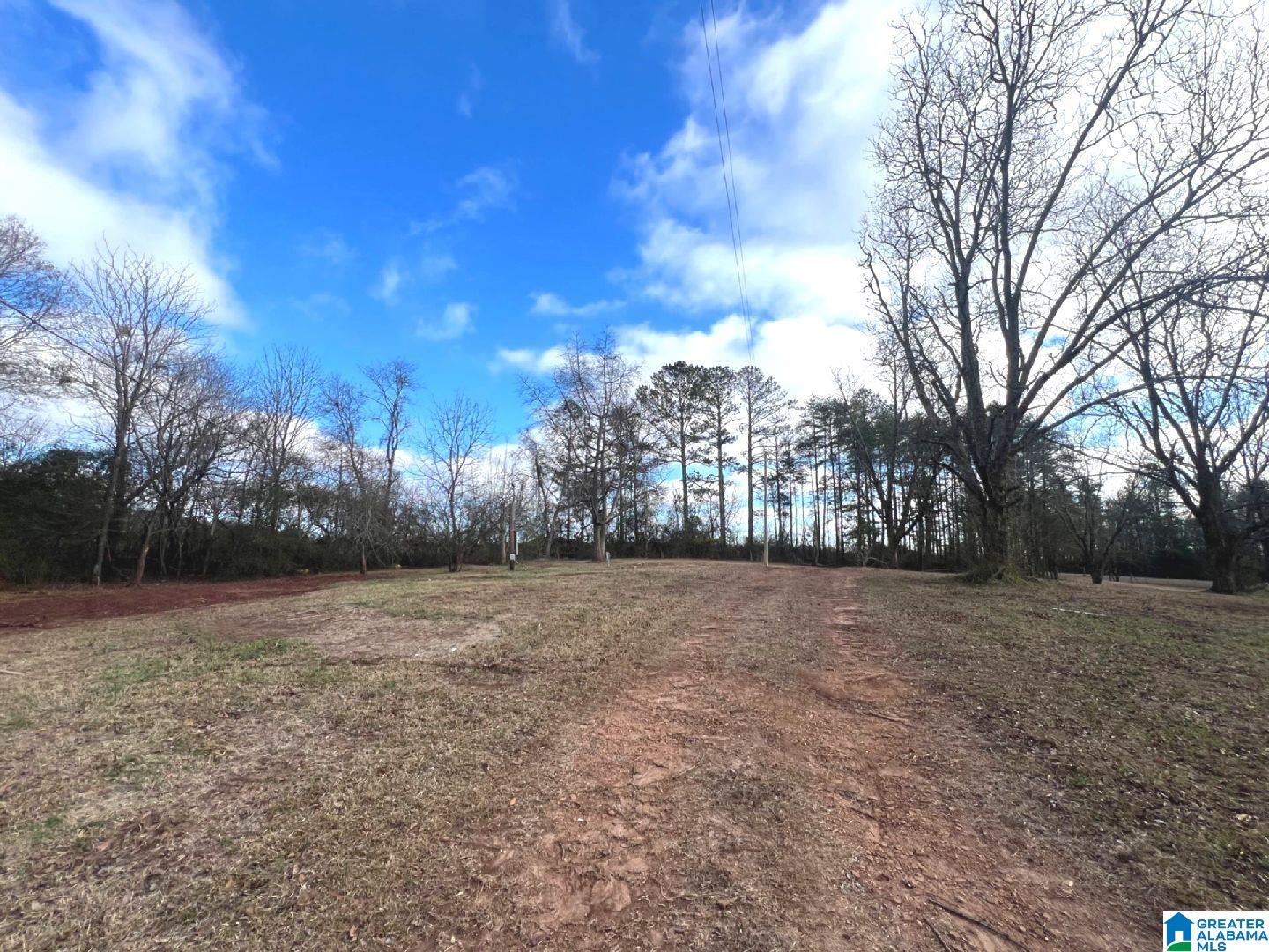 1194 Mountain View Road Ashland, AL 36251 - Photo 33 of 43