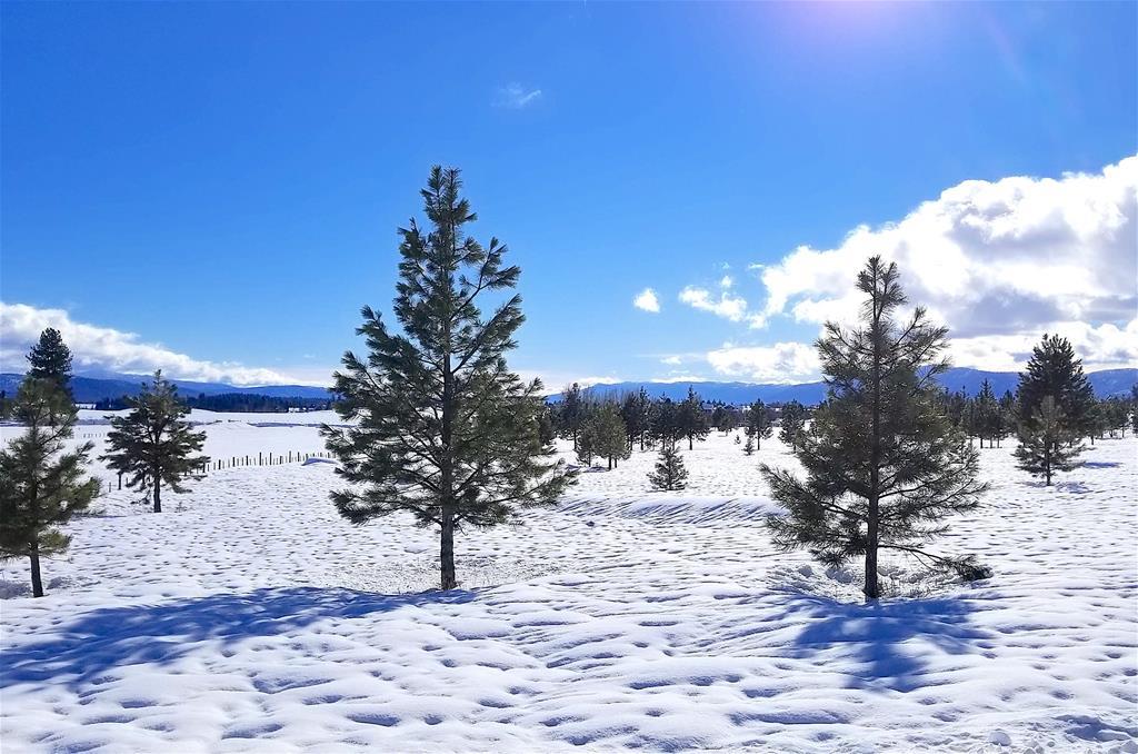 1217 Elo Road, Unit 1 McCall, ID 83638 - Photo 14 of 16