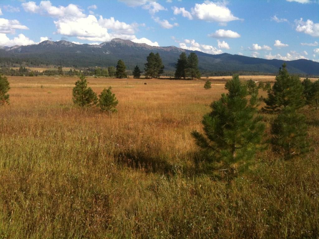 1217 Elo Road, Unit 1 McCall, ID 83638 - Photo 15 of 16