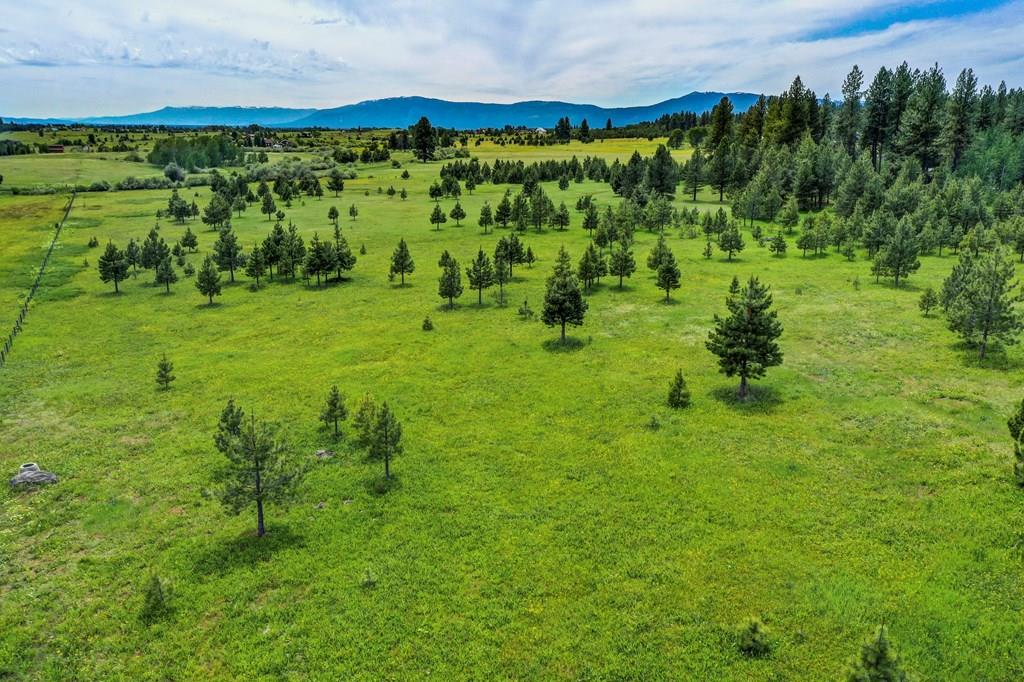 1217 Elo Road, Unit 1 McCall, ID 83638 - Photo 2 of 16