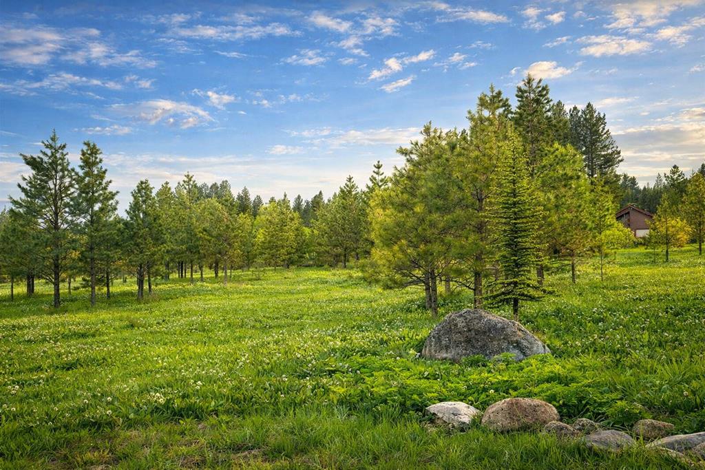 1217 Elo Road, Unit 1 McCall, ID 83638 - Photo 3 of 16