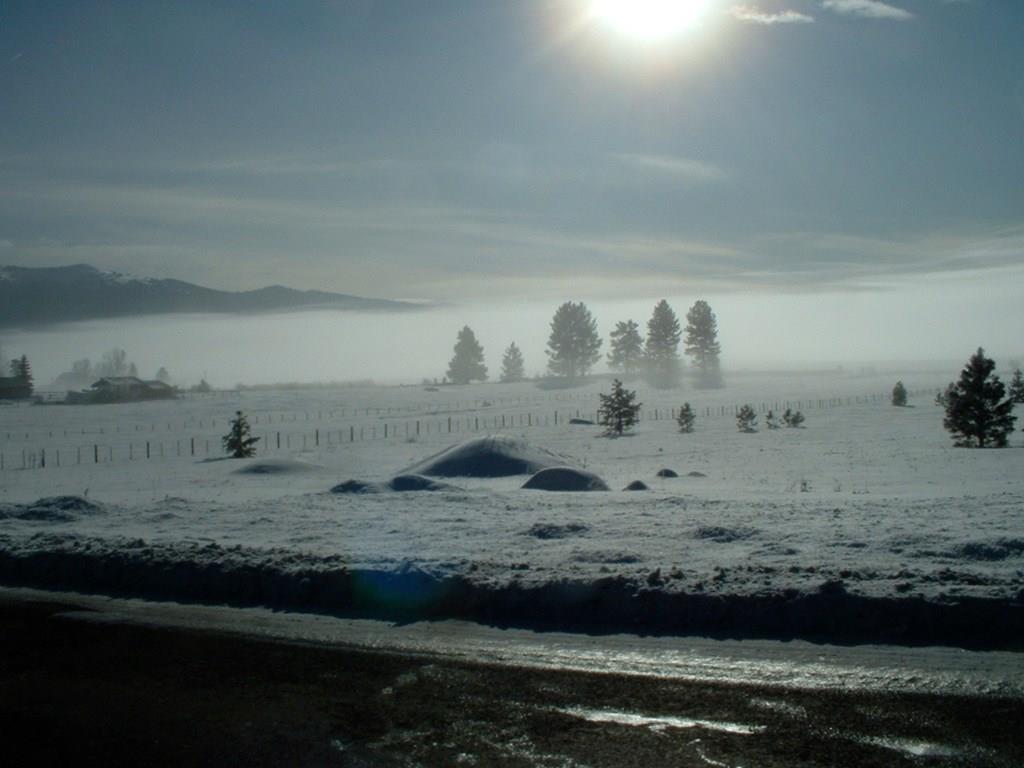 1217 Elo Road, Unit 1 McCall, ID 83638 - Photo 6 of 16