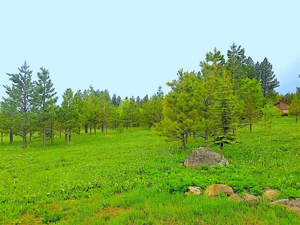 1217 Elo Road, Unit 1 McCall, ID 83638 - Photo 7 of 16