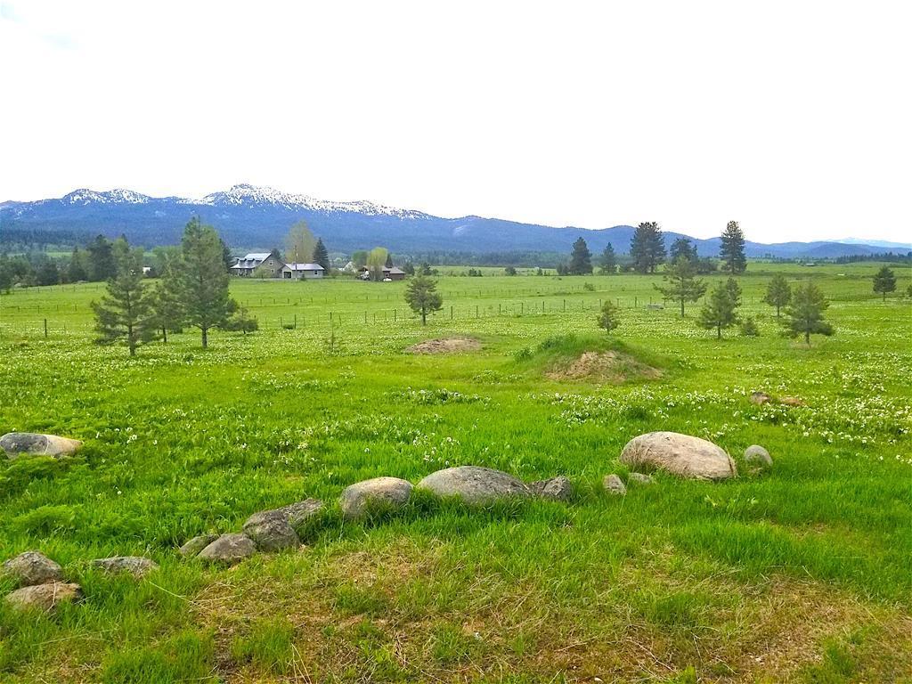 1217 Elo Road, Unit 1 McCall, ID 83638 - Photo 10 of 16