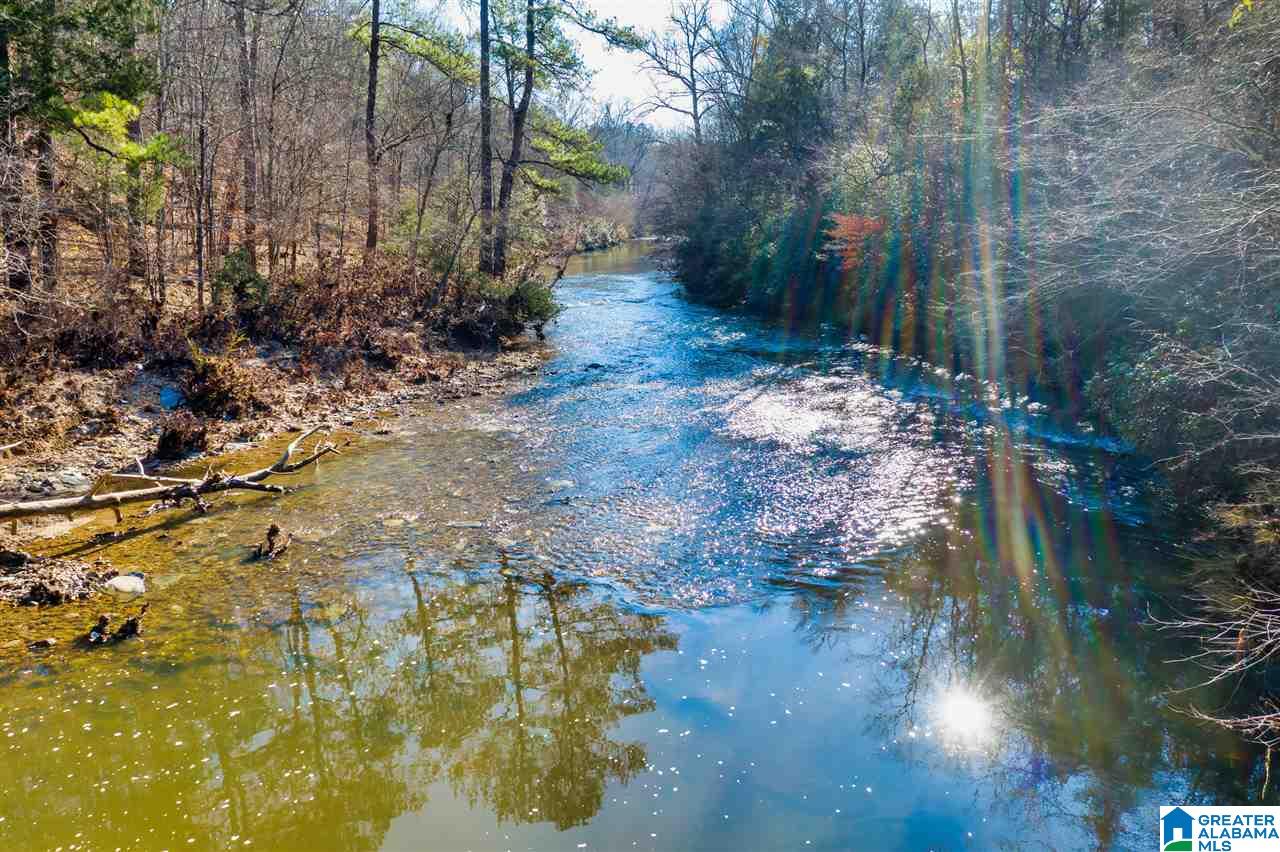 0 County Road 8, Unit 1 Clanton, AL 35045 - Photo 8 of 30
