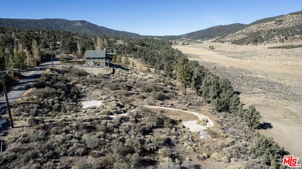 a view of a dry yard with trees all around