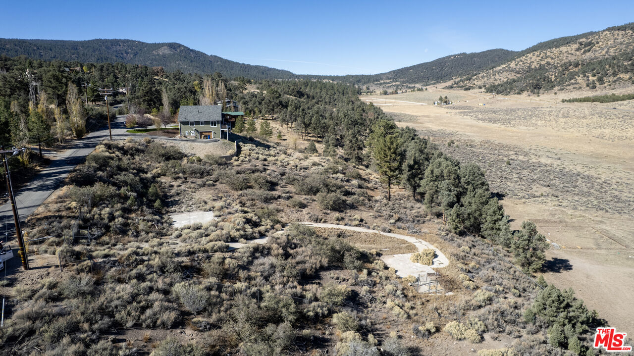 9317 Whispering Pines Road Frazier Park, CA 93225 - Photo 11 of 18 a view of a forest with mountains in the background