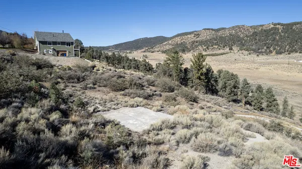a view of a dry yard with trees