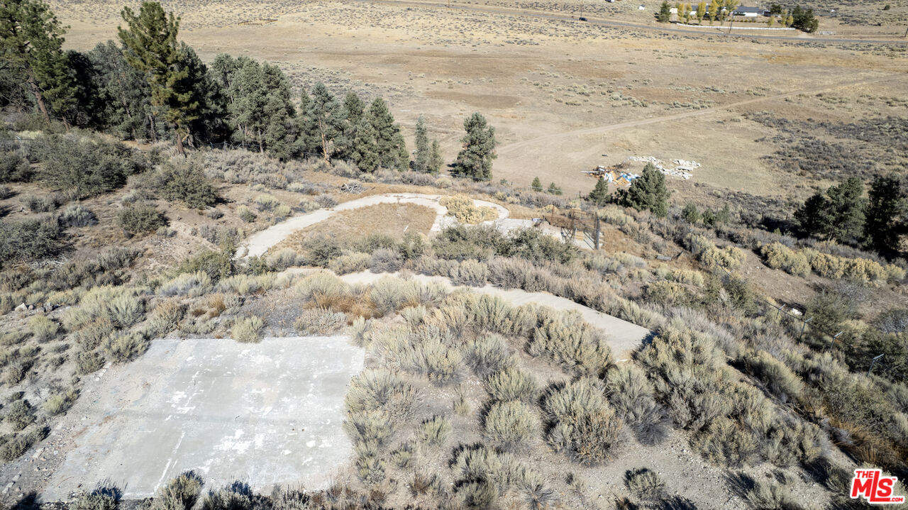 9317 Whispering Pines Road Frazier Park, CA 93225 - Photo 16 of 18 a view of a dry yard with trees
