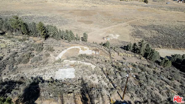 a view of a forest with a mountain view