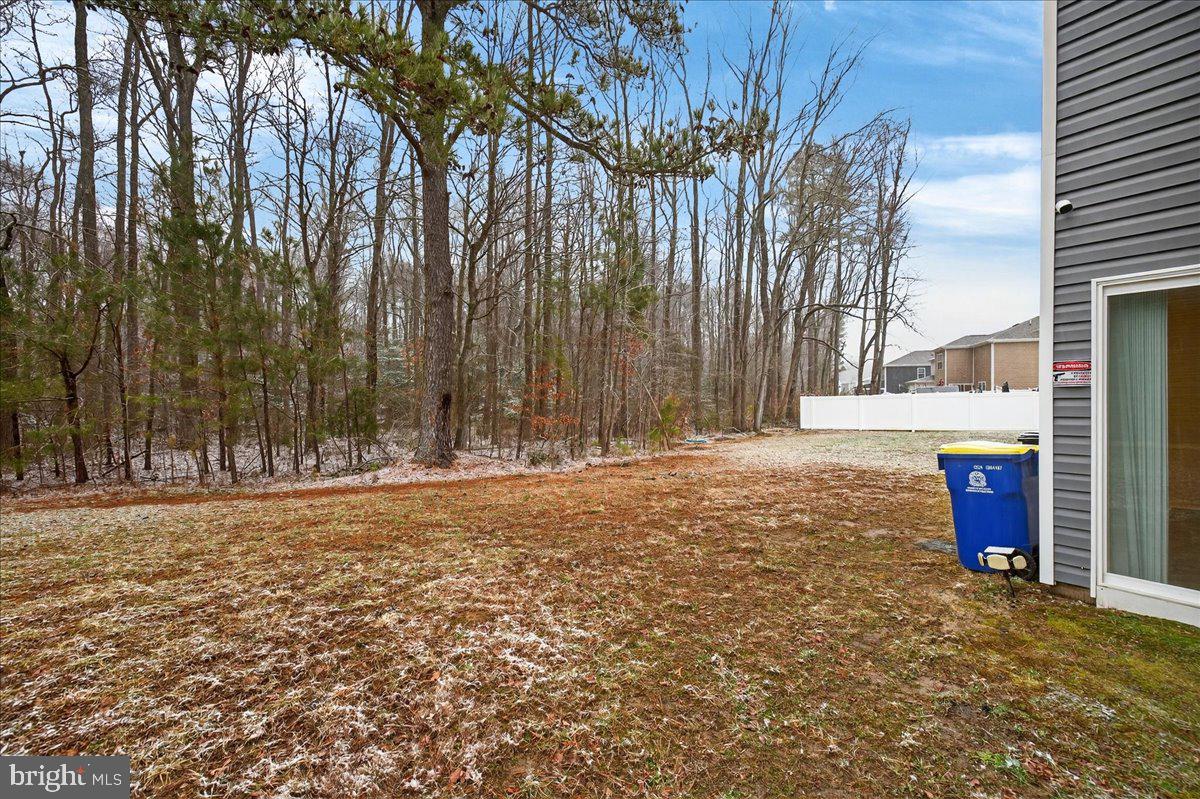 71 Currant Circle Magnolia, DE 19962 - Photo 8 of 37