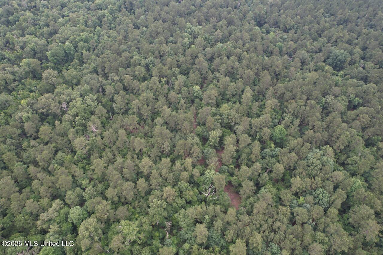 6643 Grange Hall Road Osyka, MS 39657 - Photo 36 of 39 DJI_0153 Large