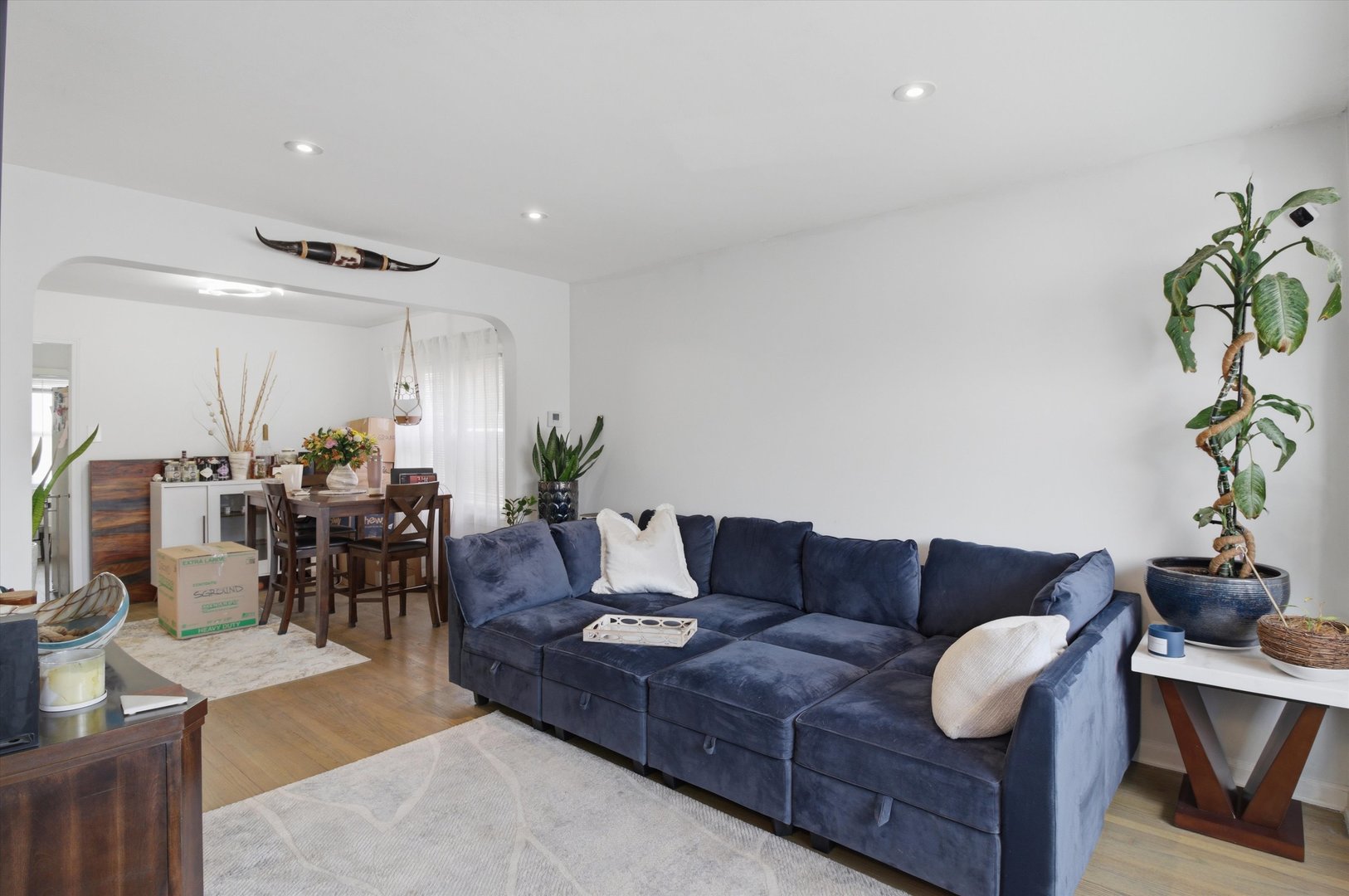 1107 West 101st Street Chicago, IL 60643 - Photo 4 of 28 a living room with furniture and a dining table with potted plant