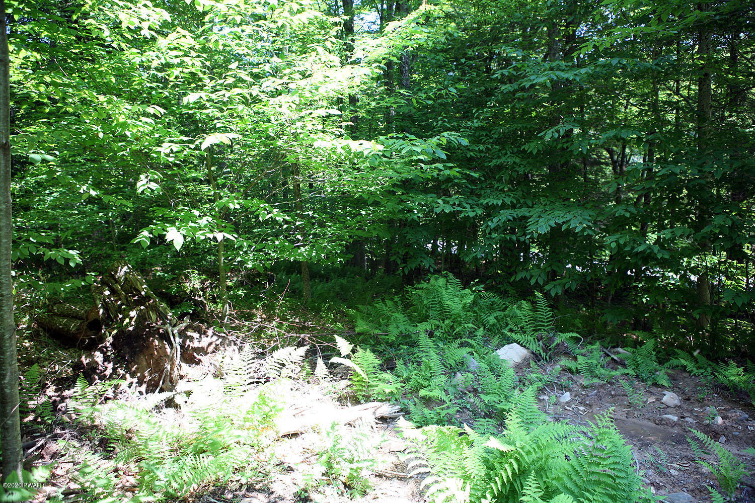 0 Braman Road Equinunk, PA 18417 - Photo 25 of 36
