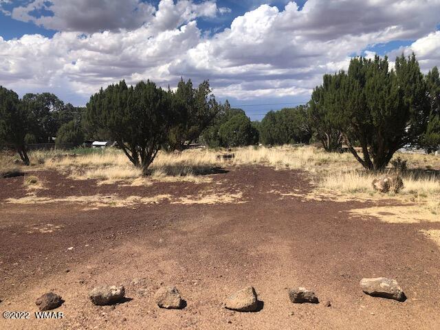 8368 Ridge Drive Show Low, AZ 85901 - Photo 1 of 4