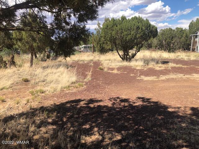 8368 Ridge Drive Show Low, AZ 85901 - Photo 2 of 4