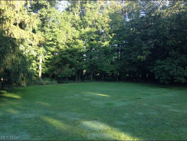 16258 Messenger Road Burton, OH 44021 - Photo 18 of 19