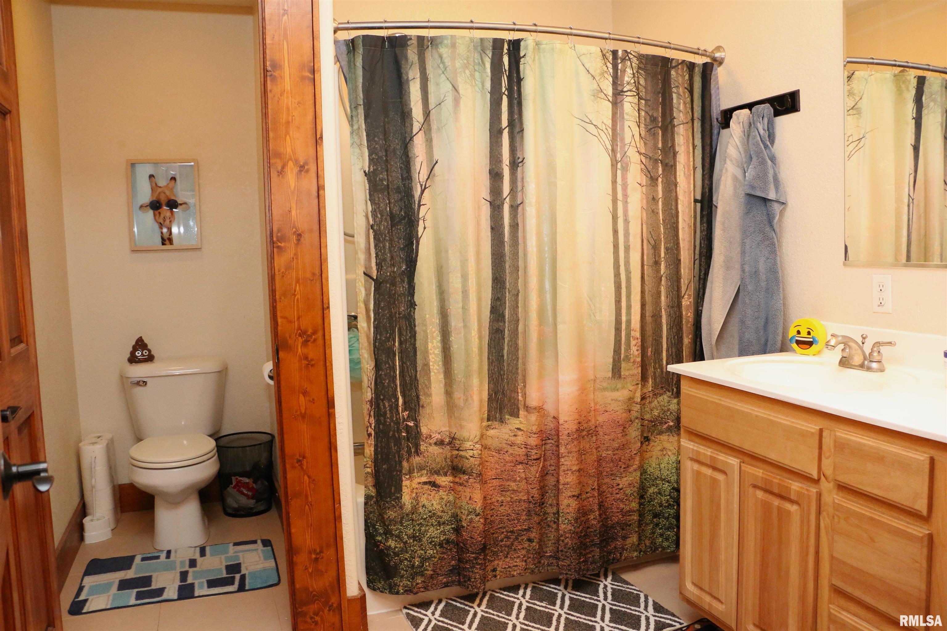 2064 East 2200th Street Camp Point, IL 62320 - Photo 28 of 61